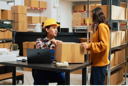 Domestic Courier 